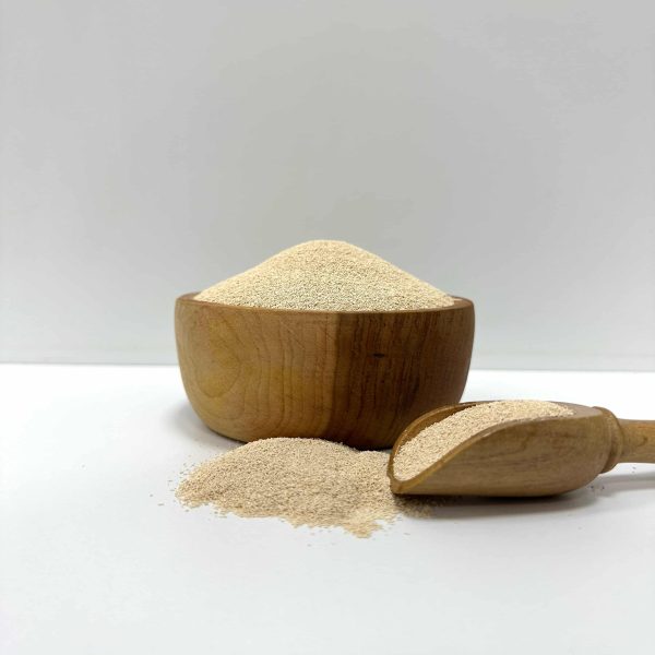 مایه خمیر