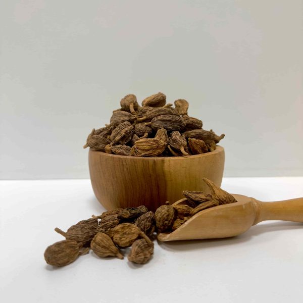 هل باد ریز